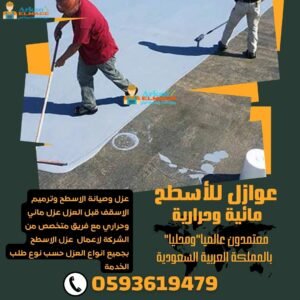 شركة عزل بلوريا بالرياض